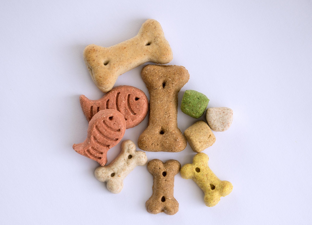 UPDATE: Cours nutrition chez le chien et le chat